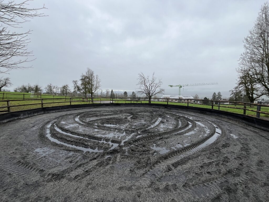 Ottenbach Longierplatz Vorher