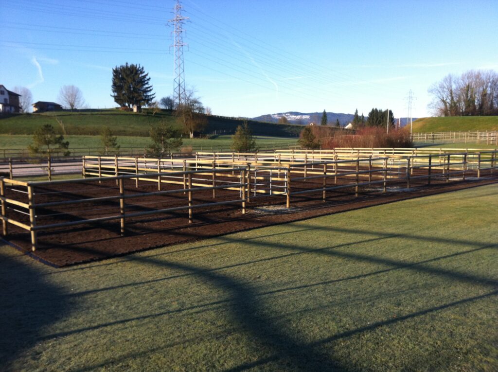 Ottikon Paddock