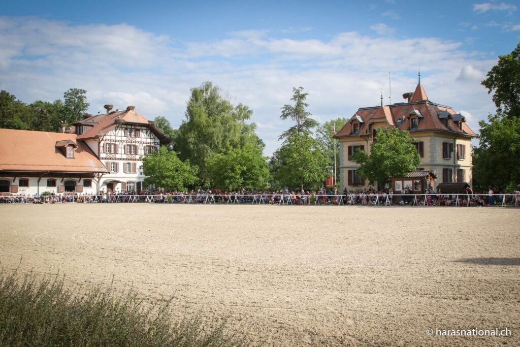 Nationalgestüt Avenches Aussenplatz Professional