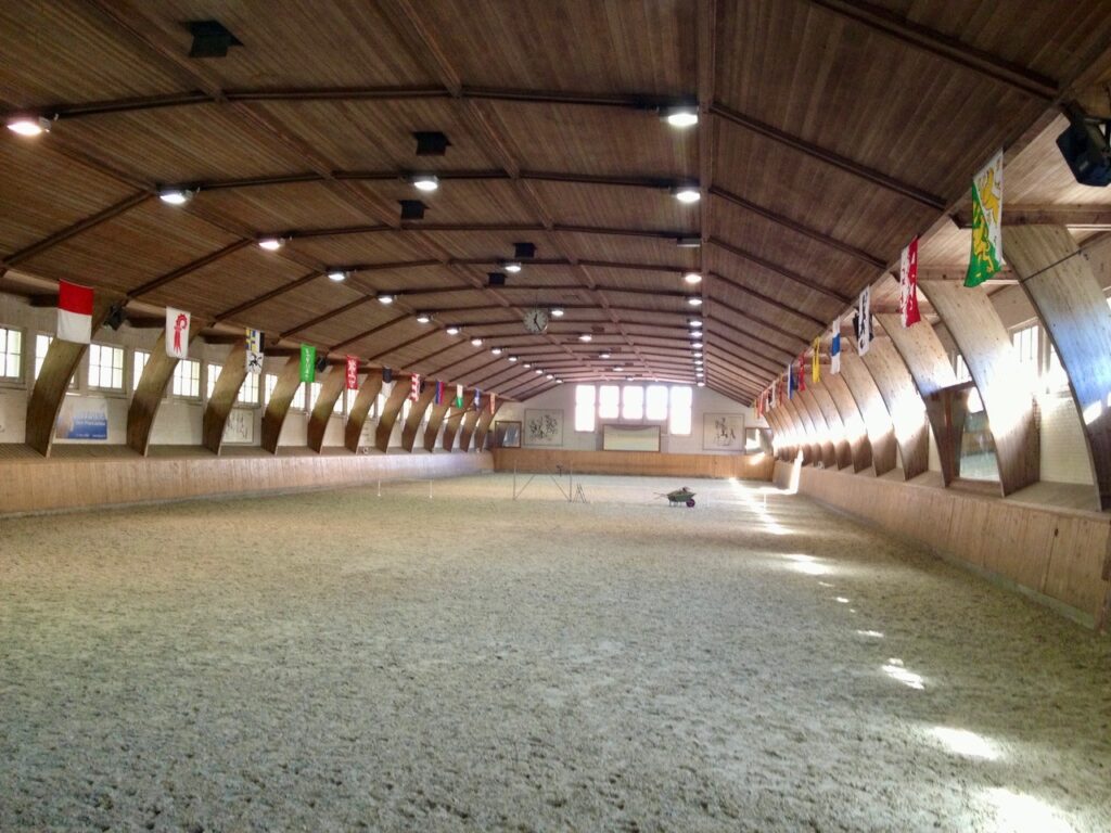 Bern Reithallenboden Professional