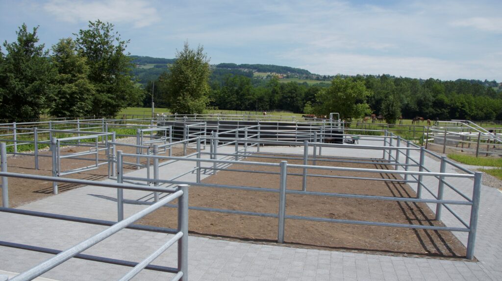 Pferdeauslauf Bremgarten