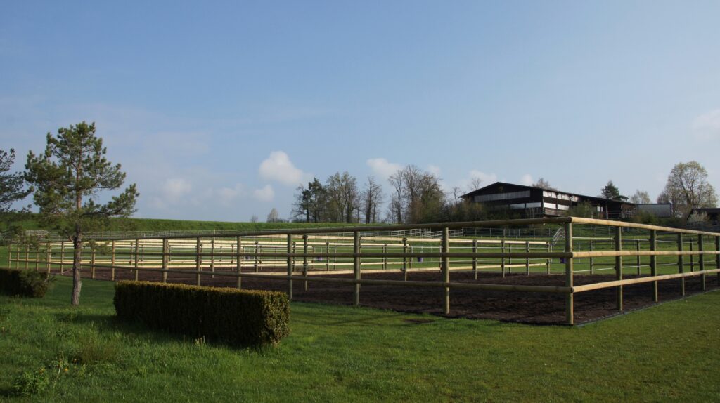 Pferdeauslauf Gossau ZH