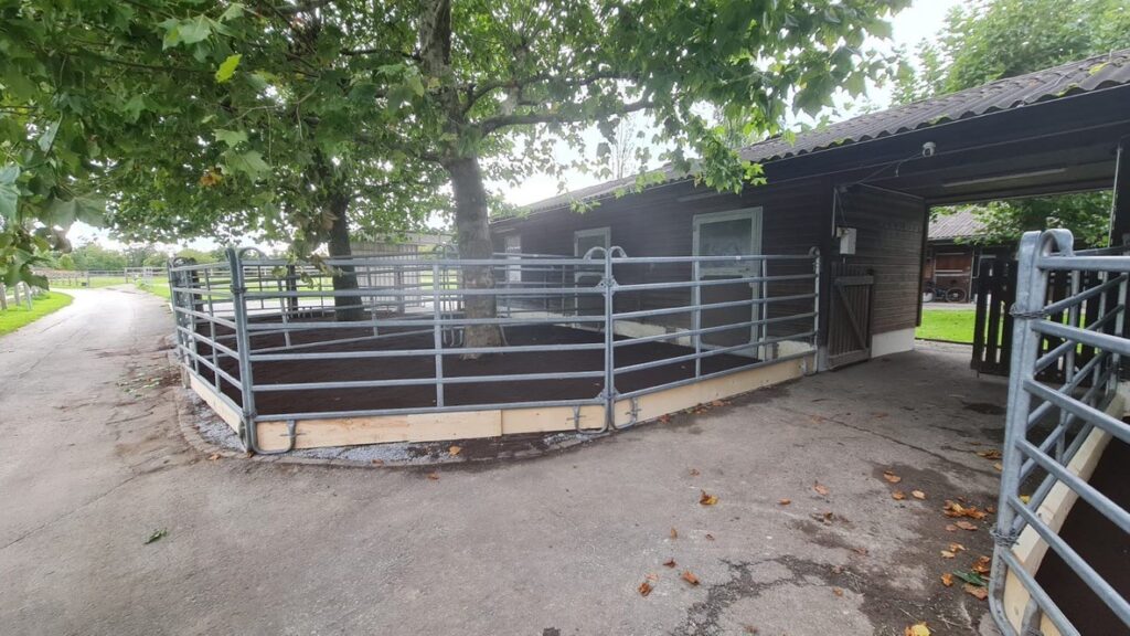 Pferdeauslauf Hombrechtikon